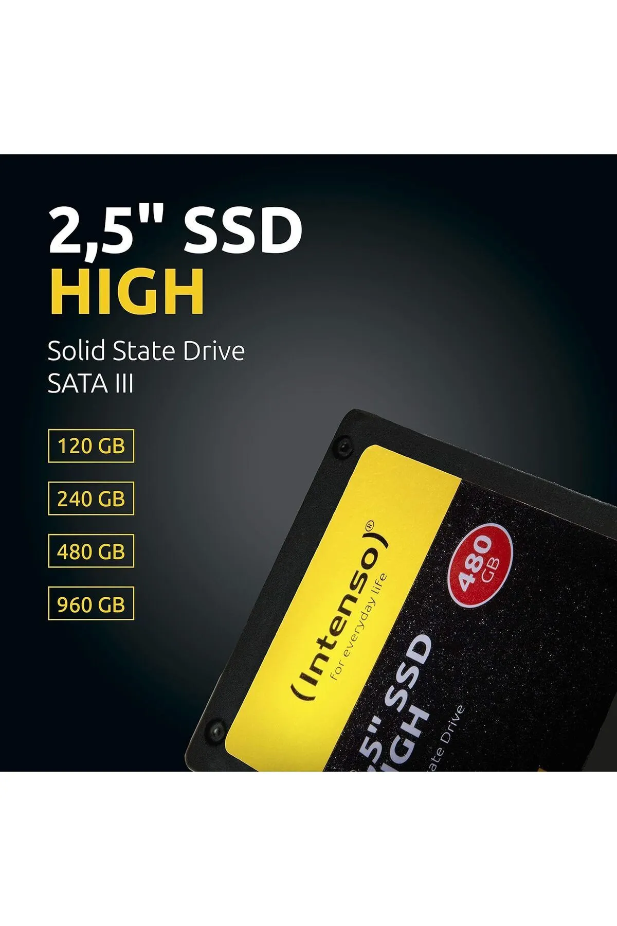 Intenso 256Gb Top 2,5inç 520Mb-500Mb/S Okuma/Yazma SATA 3 SSD Harddisk